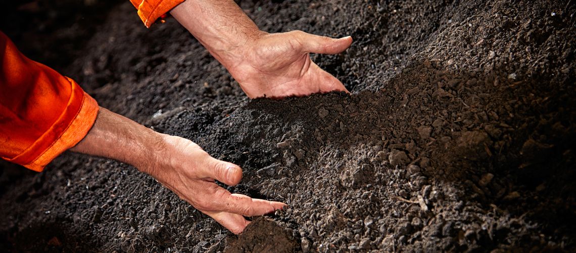Buy compost products